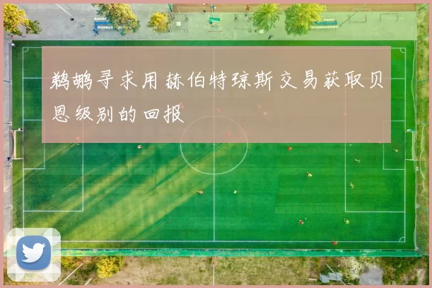 鹈鹕寻求用赫伯特琼斯交易获取贝恩级别的回报